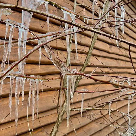 Holzhaus Baerenhoehle Am Wald Und