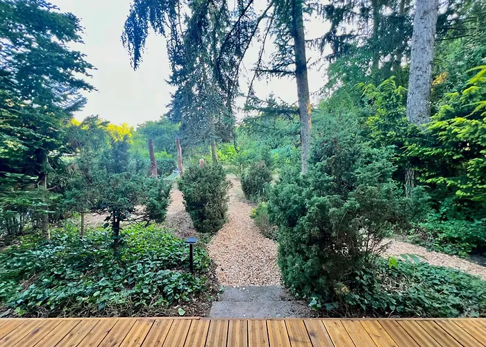 Holzhaus Bärenhöhle Am Wald Und Ferienhaus *