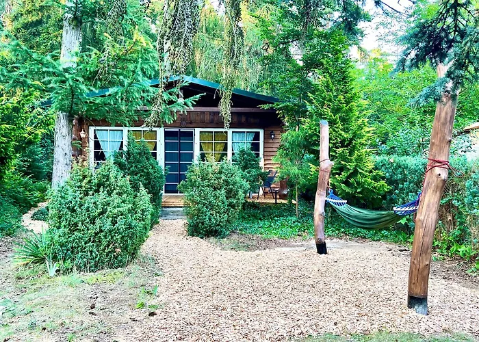 Ferienhaus Holzhaus Bärenhöhle Am Wald Und Neuruppin