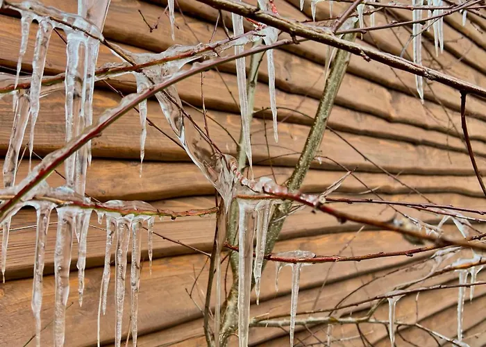 Holzhaus Bärenhöhle Am Wald Und